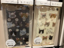 佐野ブログ写真
