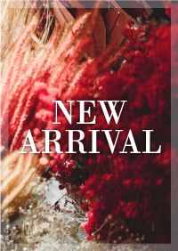 20230915_Hd_NewArrival_newsIMG_EyeCatch