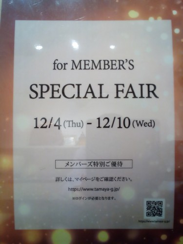 17649090310578939604051497492441