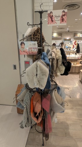 PXL_20251207_041949241.MP