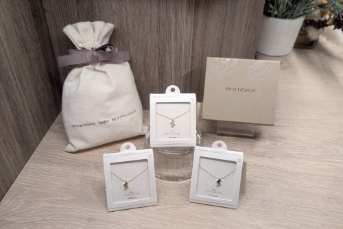 PXL_20251222_042736005.MP