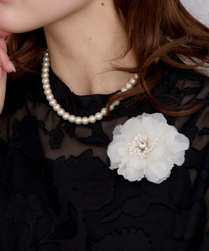 900644982204761-iv (4)