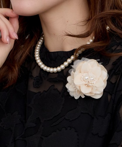 900644983204761-iv (4)